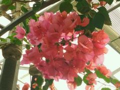 -兰陵国家农业公园