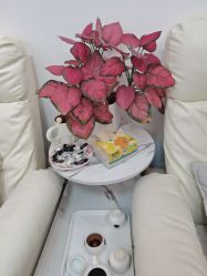 -锦汐绣·明星纹眉半永久纹唇纹眼线