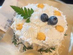 -野草莓自由市场