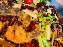 -老板恋上鱼(恒隆广场店)