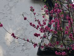 -乌山风景区