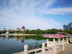 -莲花池公园