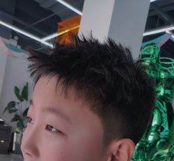 -世田造型