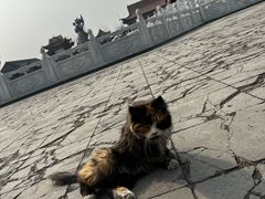 -大悲禅寺