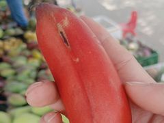 -兴隆华侨农场