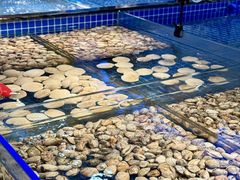 -焰江山海鲜牛排烤肉自助(锦华万达二星店)