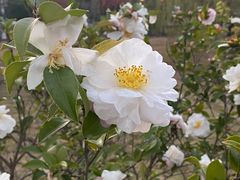 -艺师傅盲人按摩(江浦大润发店)