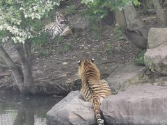 -宁波野生动物园