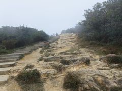 -梧桐山风景名胜区