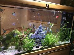 -悦和餐厅(CBD玉米楼店)
