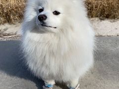 -乖乖乐动物医院(小汤山分院)