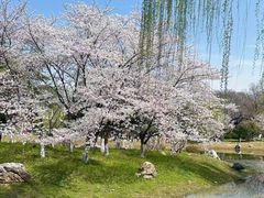 -堤角公园