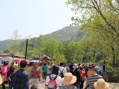 -木兰云雾山