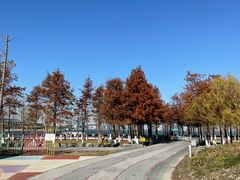 -春花秋色城市公园