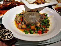 甲鱼红烧肉-时光乌托邦空中花园餐厅川味·融合菜(幸福广场店)