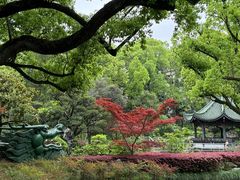 -申粤轩酒楼·三十年粤菜经典(丁香花园店)