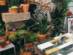 -PlantsEatery·植物食堂(REX春熙店)
