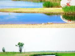 -哈拉新村