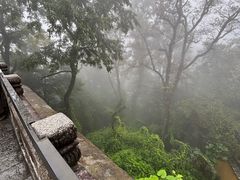 -九华山风景区月身宝殿