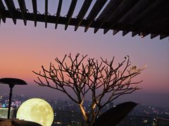 -广州柏悦酒店·悦吧·顶楼露天酒吧