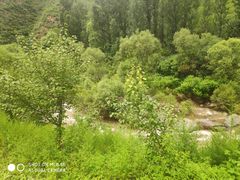-百里山水画廊乌龙峡谷