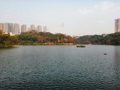 -重庆彩云湖湿地公园