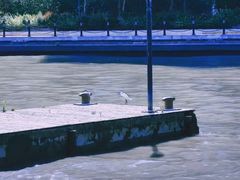 -苏州河梦清园环保主题公园