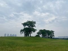 -盘龙城国家考古遗址公园