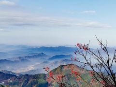 -九华山聚龙大酒店