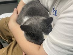 -半岛宠物医院24小时(科华中路店)