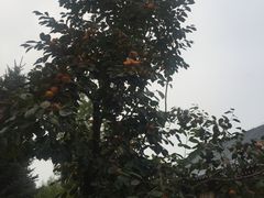 -北京宽沟会议中心