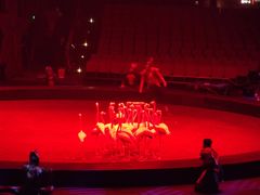 -珠海横琴长隆《卡卡虎奇遇记》