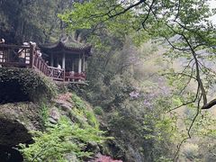 -莫干山风景区