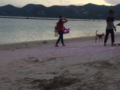 -Coco Tam’s