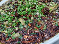 -瓦房兔(璧山店)