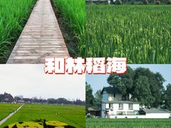 -老鼎万春卤菜(五代传承创始老店)