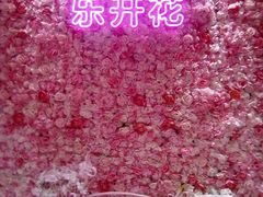 -永旺梦乐城(金银潭店)