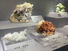 -湖南省地质博物馆