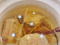 五指毛桃炖排骨-轩记海鲜餐厅·四十五年老字号·经典粤菜(西区彩虹店)