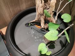 -宴昆山·私房菜(春晖店)
