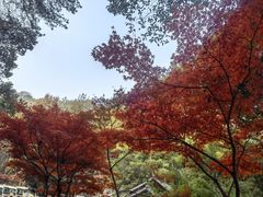 -岳麓山风景名胜区