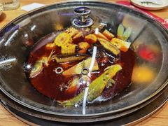 -鸽子刘铁锅炖鱼(劲松店)
