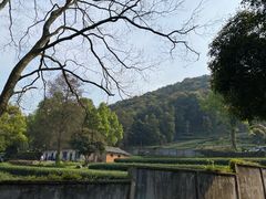 -随意茶庄·地道杭帮农家菜(梅家坞店)
