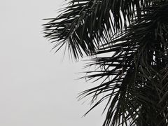 -石炮台公园