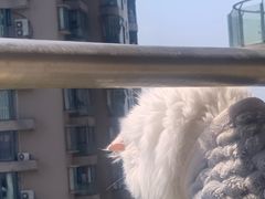 -耀江文鼎苑