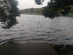 -西湖外事游船(花港观鱼码头)