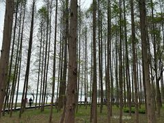 -渤公岛生态公园