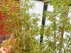 -囍榷·鲜美常州菜(恐龙园店)