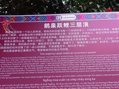 -靖西鹅泉风景区