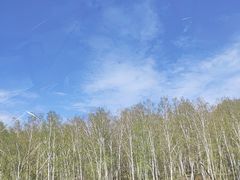 -哈乌尔河